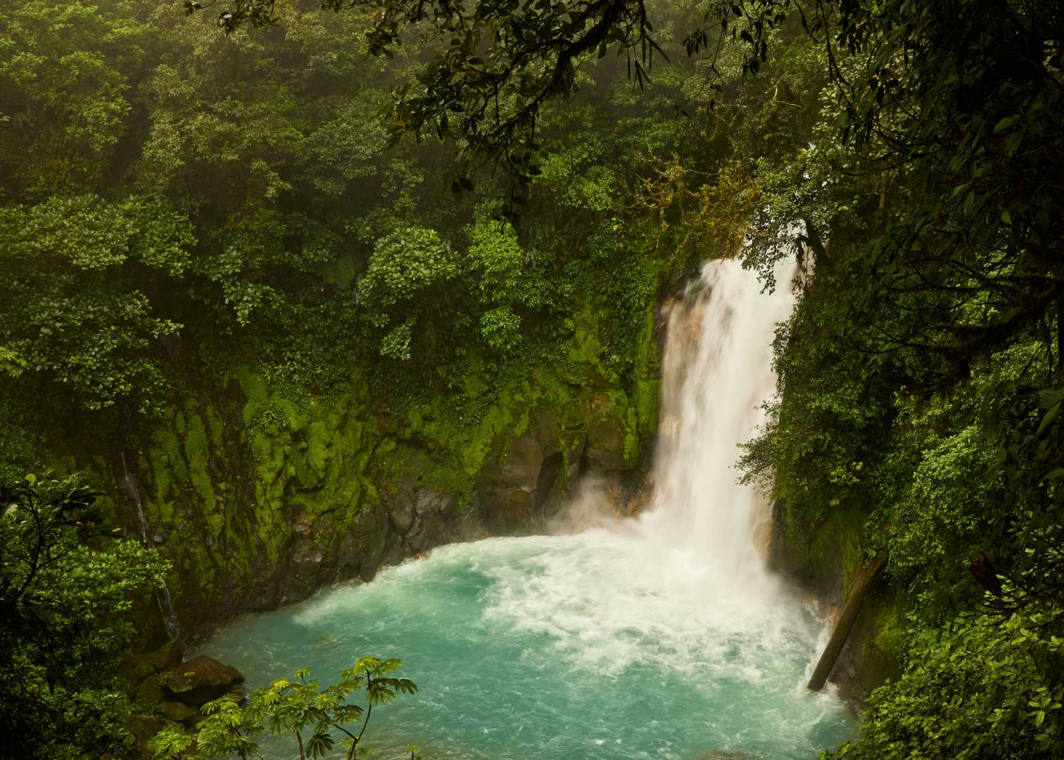 Location Image