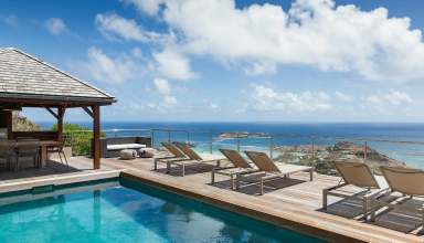 Agave Azul St Barts