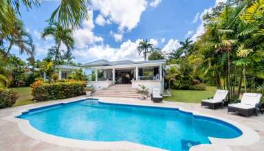 Palm Tree Villa