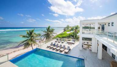 Timeless Paradise