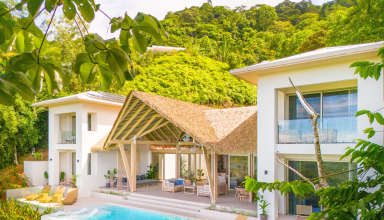 Casa Frenchie