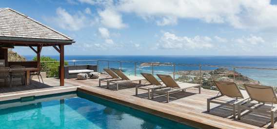 Agave Azul St Barts