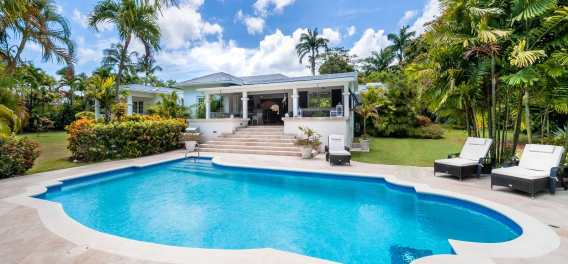 Palm Tree Villa