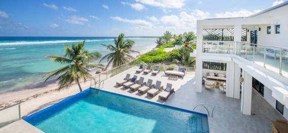 Timeless Paradise