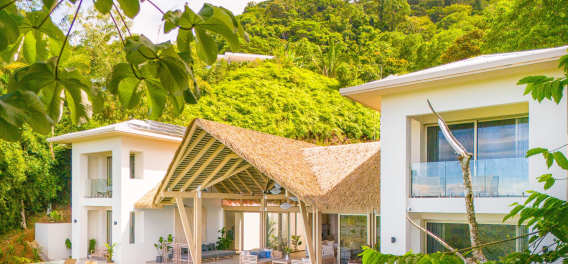 Casa Frenchie