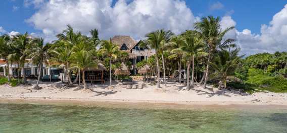 Sombras del Viento