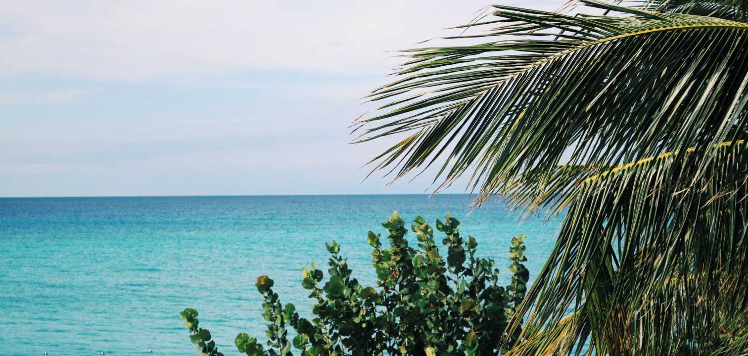 *Caribbean* villa rentals