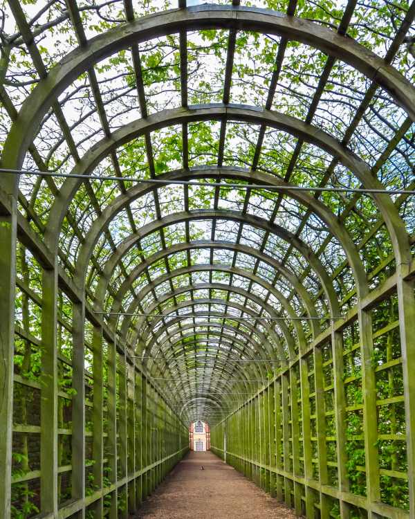 What To Do & See in South West London