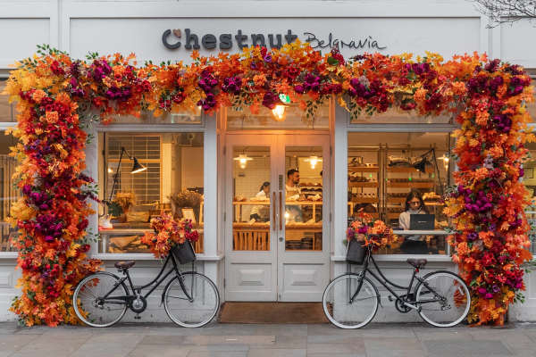 8c9c8bd8-23cd-4f63-bc88-6fdacb783db6