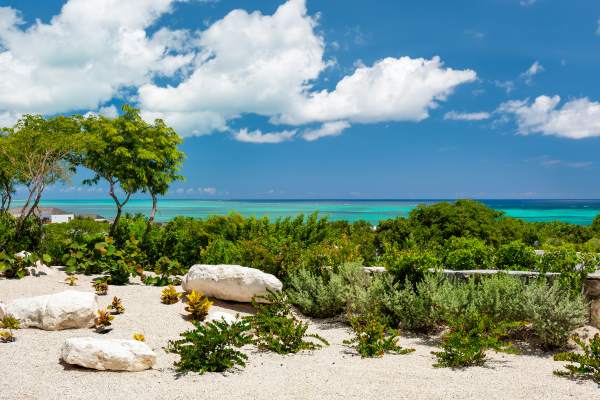 fff5243f-bfe6-4057-84a6-54a3eac53ad0